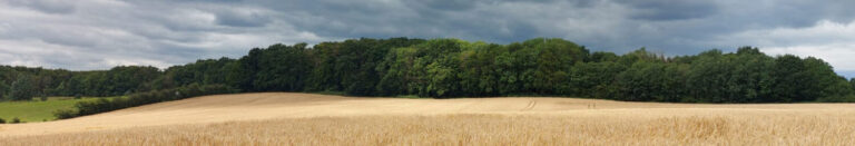 Willkommen in Dechow DORF DECHOW